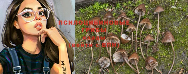 прущий лед Аркадак