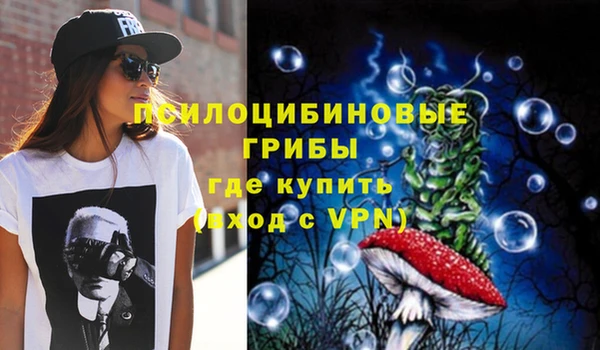 прущий лед Аркадак