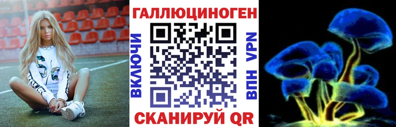 продажа наркотиков Шумиха Галлюциногенные грибы мицелий